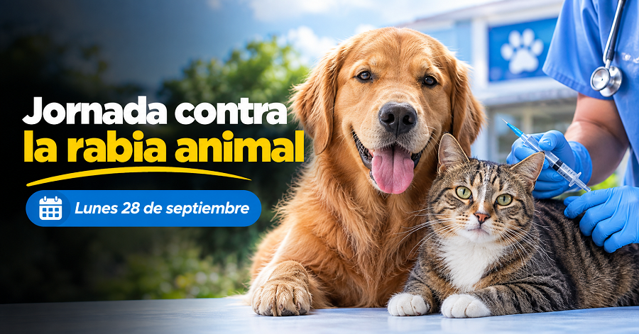 🐾💉 |Cogua| realizará jornada contra la rabia para animales de compañía, ¿cuándo será?