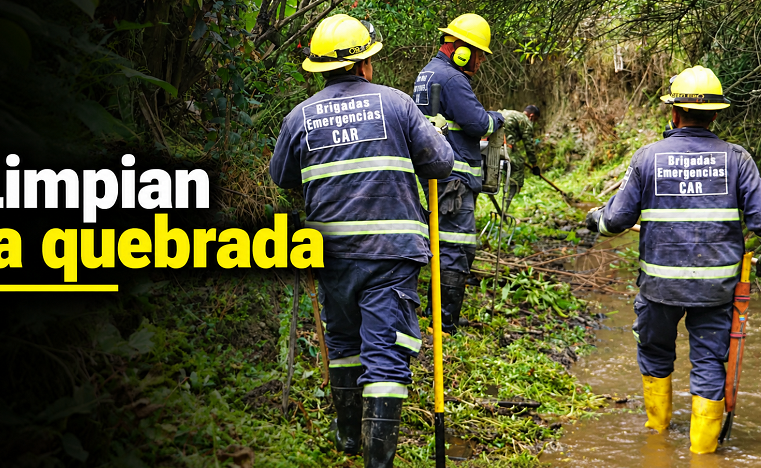 🌿 Limpian la quebrada Padre Otero en |Cogua|: ¿qué sigue? 💚