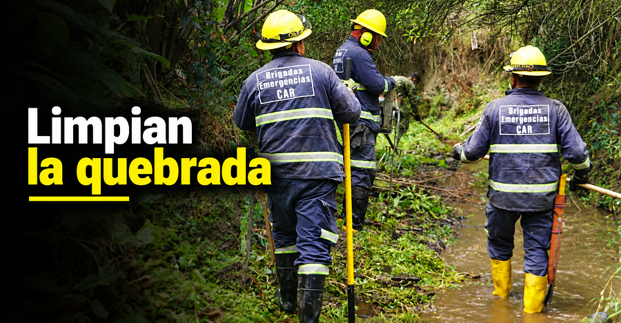 🌿 Limpian la quebrada Padre Otero en |Cogua|: ¿qué sigue? 💚