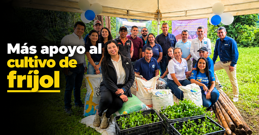 |Cundinamarca| fortalece la producción de |fríjol| 🌱👨‍🌾 ¿Cómo se apoya a los productores?