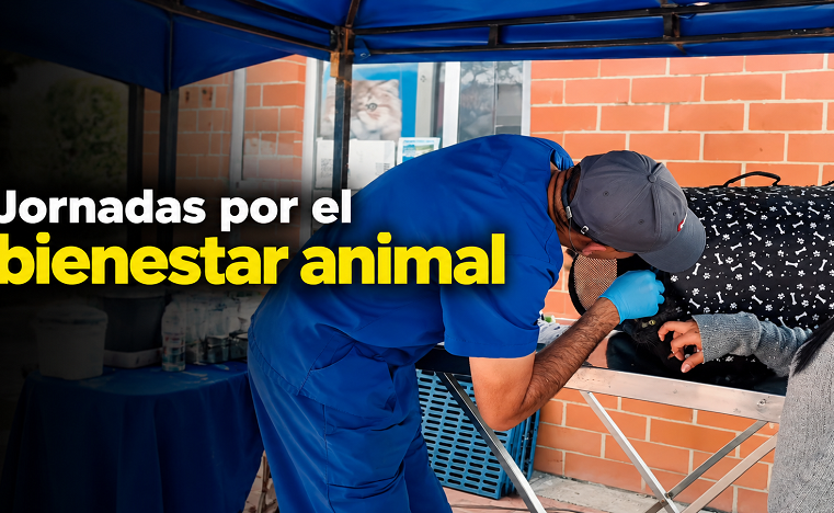 🐾 |Cota| fortalece el bienestar animal con jornadas especiales, ¿qué actividades se realizaron? 🌱 + Video