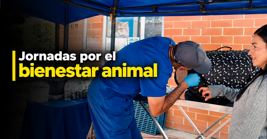 🐾 |Cota| fortalece el bienestar animal con jornadas especiales, ¿qué actividades se realizaron? 🌱 + Video