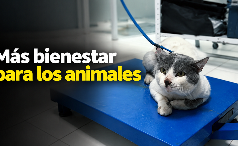 🐾 |Cota| fortalece el bienestar animal con nuevas jornadas 🌱 ¿Cuál es la meta? + Video