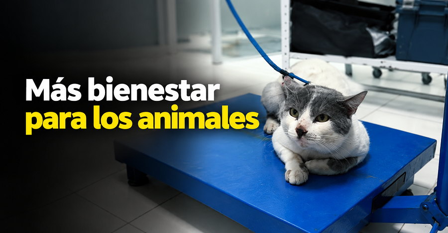 🐾 |Cota| fortalece el bienestar animal con nuevas jornadas 🌱 ¿Cuál es la meta? + Video