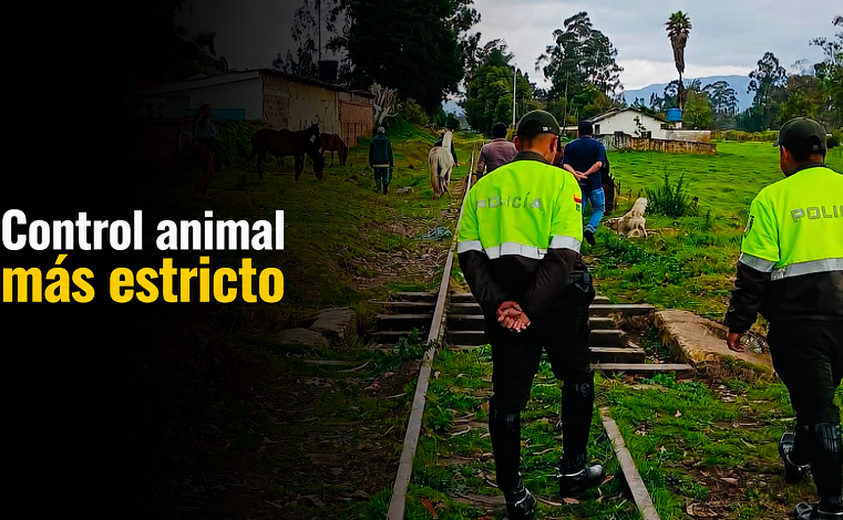 🐾 |Nemocón| refuerza el control sobre la tenencia de animales, ¿qué encontraron los operativos?