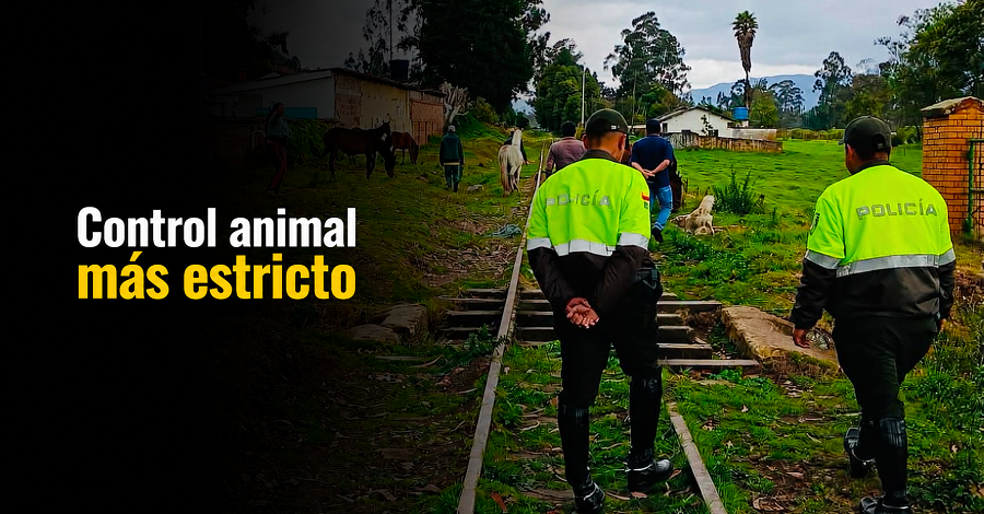 🐾 |Nemocón| refuerza el control sobre la tenencia de animales, ¿qué encontraron los operativos?