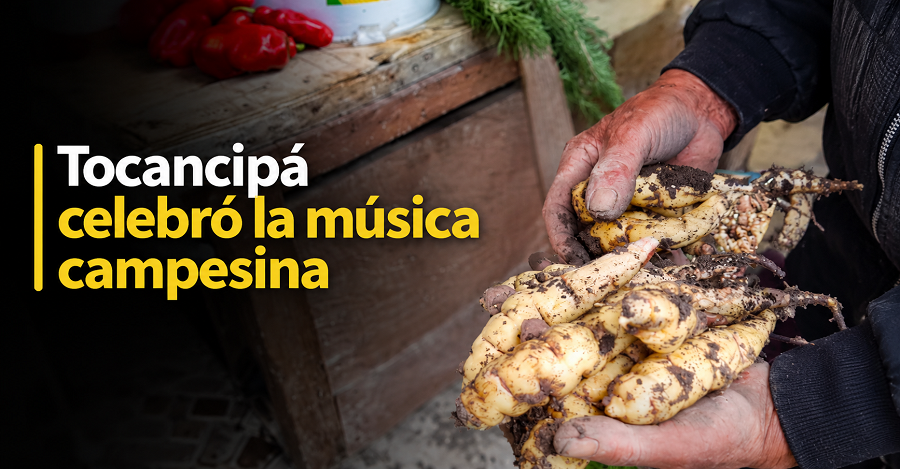 🌾 |Tocancipá| celebró la música campesina, ¿cómo fue la fiesta? + Video