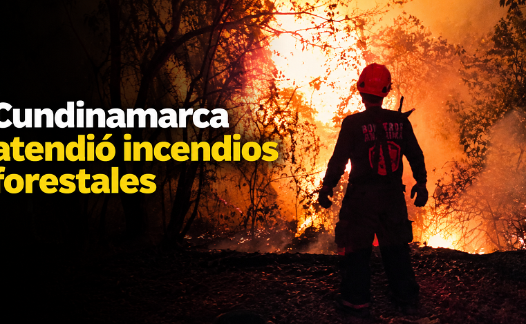 🔥 |Cundinamarca| atendió cinco |incendios forestales|, ¿cuál es el balance?