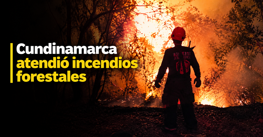 🔥 |Cundinamarca| atendió cinco |incendios forestales|, ¿cuál es el balance?