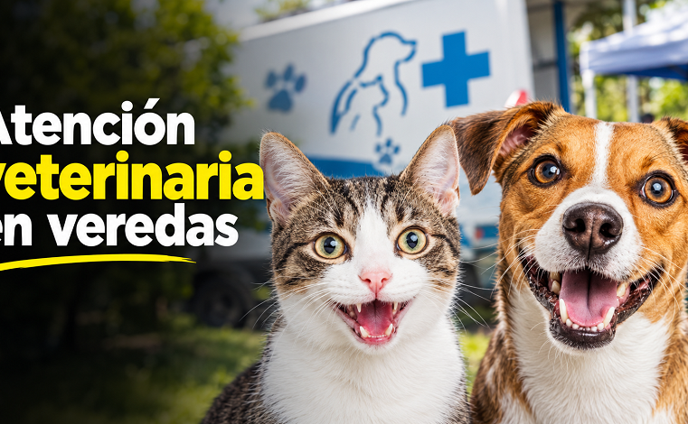 🐾 |Nemocón| llevará atención veterinaria a sus veredas, ¿cuándo será?