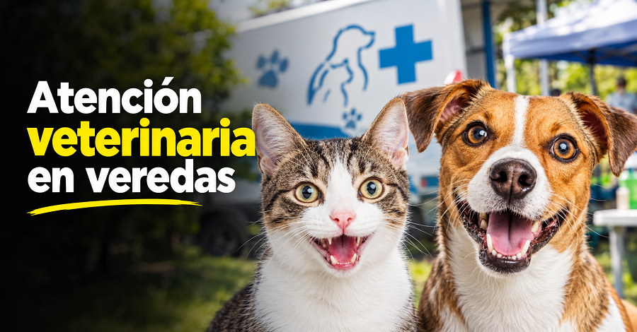 🐾 |Nemocón| llevará atención veterinaria a sus veredas, ¿cuándo será?