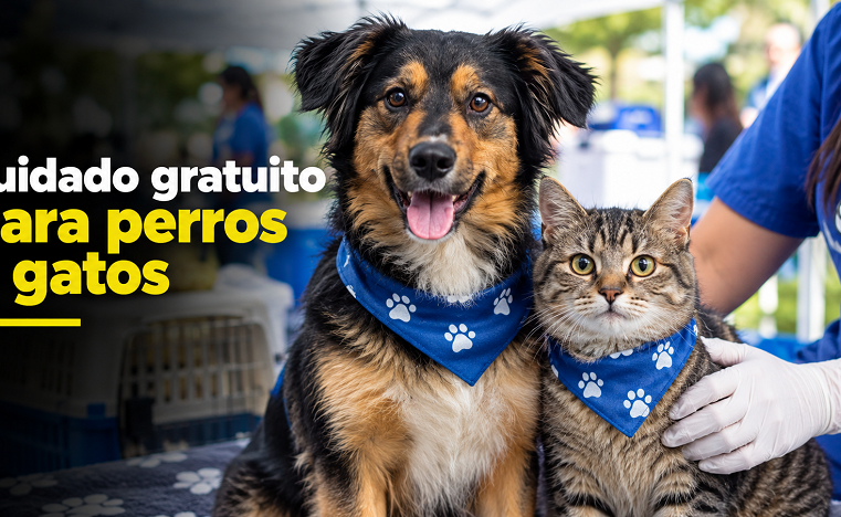 |Tabio| fortalece el cuidado de |perros| y |gatos| con jornada gratuita 🐶🐱 ¿Cómo beneficia a las |mascotas|?