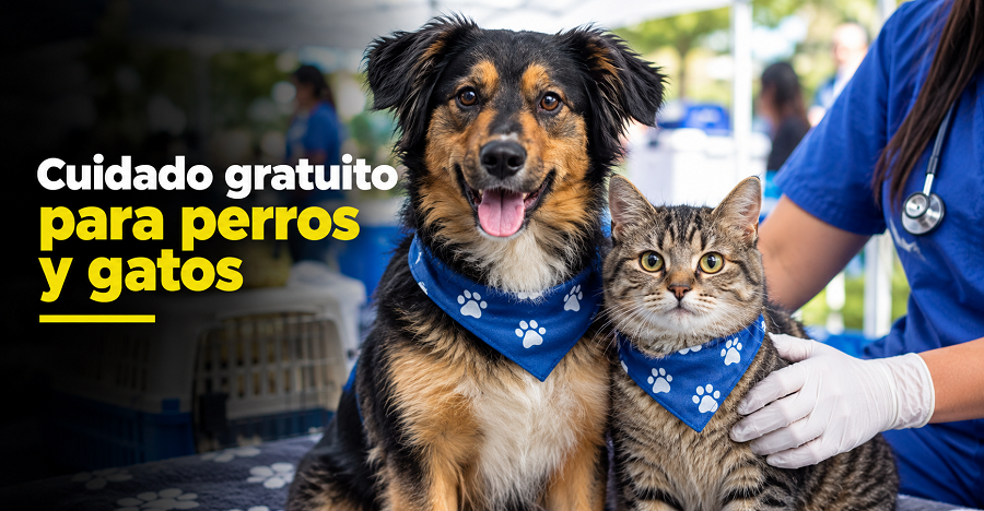 |Tabio| fortalece el cuidado de |perros| y |gatos| con jornada gratuita 🐶🐱 ¿Cómo beneficia a las |mascotas|?