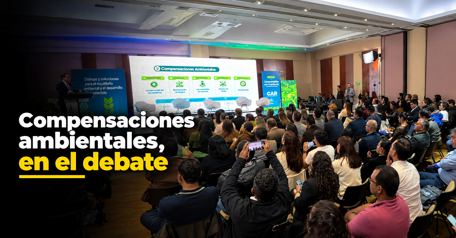 🌳 |CAR| impulsa el debate sobre |compensaciones ambientales|, ¿cómo proteger los ecosistemas? + Video