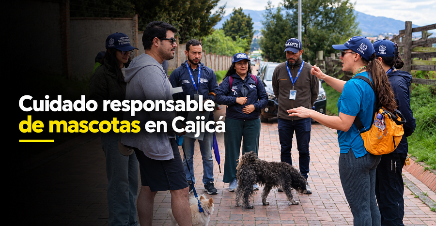 🐾 En Cajicá refuerzan el cuidado responsable de mascotas, ¿qué deben cumplir los dueños? 🐶