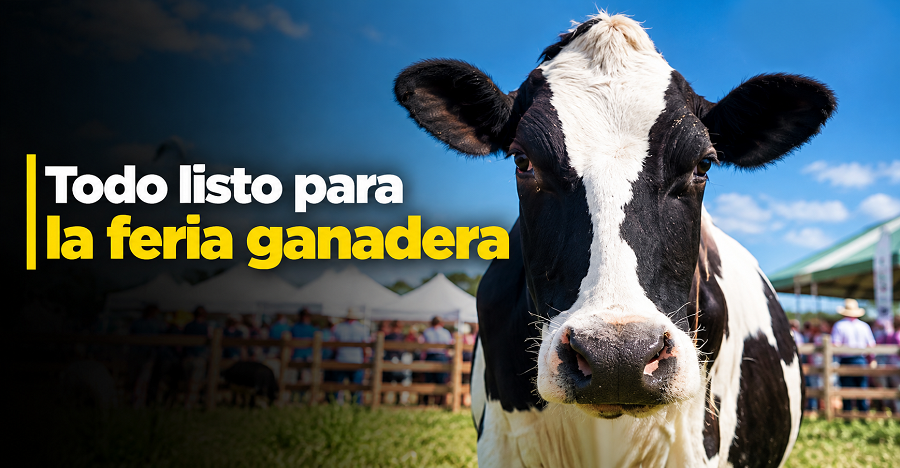 🐄 |Nemocón| prepara su |Feria Ganadera| y Comercial, ¿qué debe tener en cuenta?