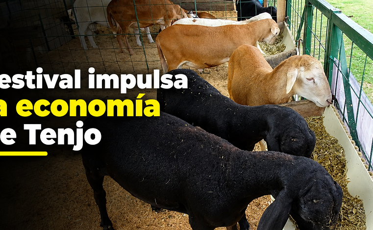 🐑 |Tenjo| mueve su economía con el |Festival de la Cuatro Puntas|, ¿cuánto vendieron?