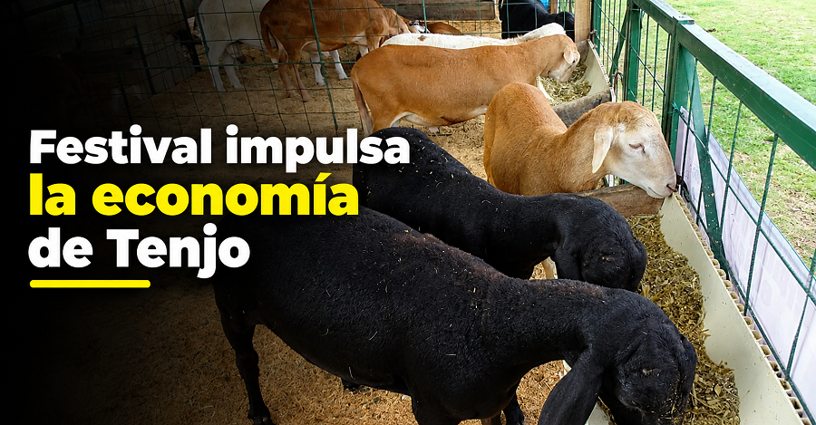 🐑 |Tenjo| mueve su economía con el |Festival de la Cuatro Puntas|, ¿cuánto vendieron?