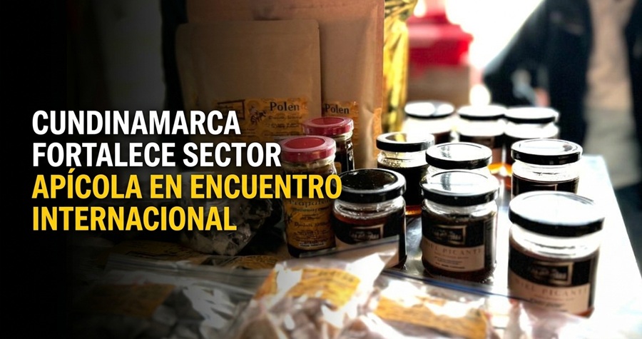 🐝 |Cundinamarca| fortalece su |sector apícola| en encuentro internacional, ¿qué aportes dejó la participación?