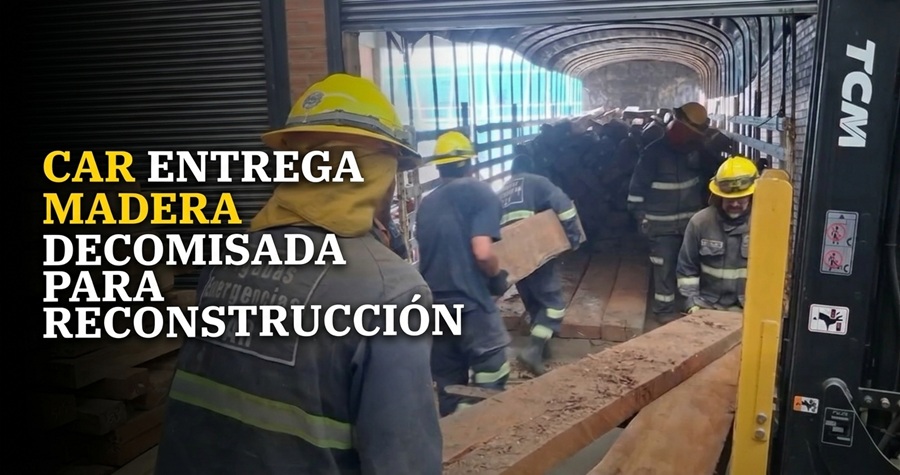 🌳 La |CAR| entrega madera decomisada para reconstrucción, ¿qué zonas se beneficiarán? + Video