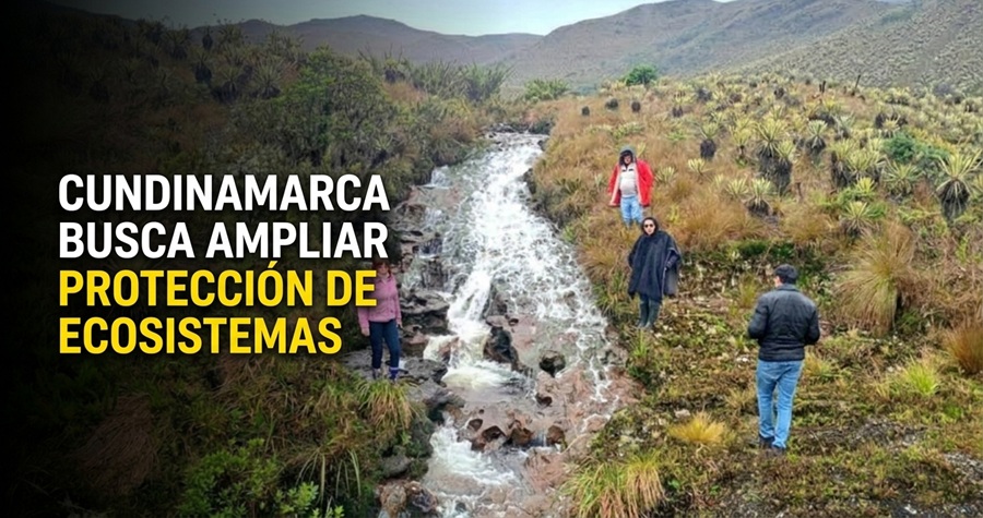 🌿 |Cundinamarca| busca ampliar la protección de sus ecosistemas, ¿qué estrategias se fortalecerán?