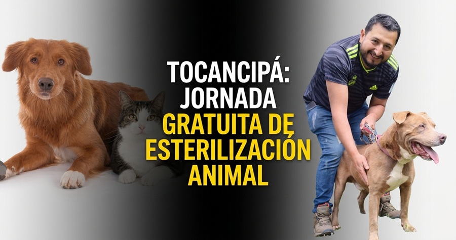 🐶 Tocancipá realizará jornada gratuita de esterilización, ¿cómo inscribir a las mascotas?