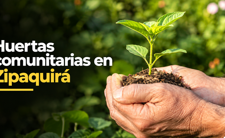 🌱 |Zipaquirá| impulsa las |huertas comunitarias|, ¿cómo participar?
