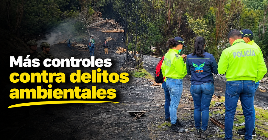 🚨 |Cundinamarca| intensifica controles contra |delitos ambientales|, ¿qué actividades están bajo vigilancia? + Video