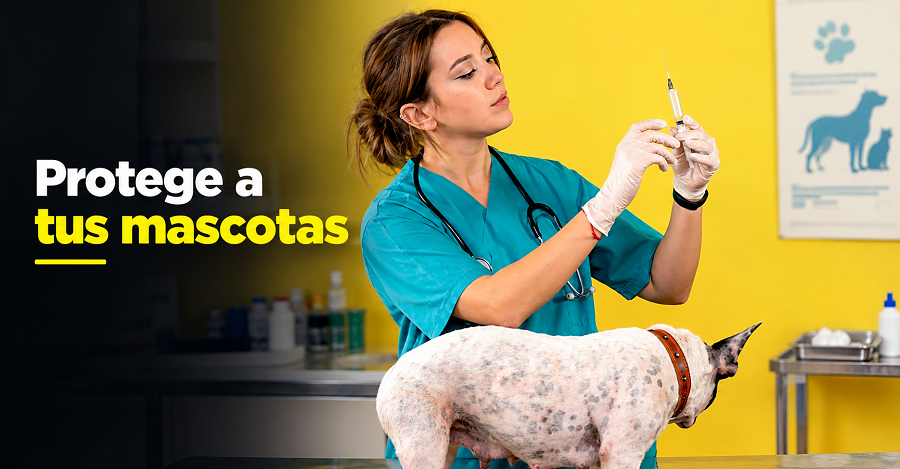 🐶 |Nemocón| promueve el cuidado de las mascotas, ¿cómo prevenir el parvovirus canino?