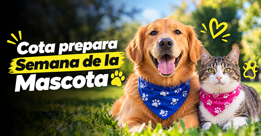 🐾 |Cota| prepara la |Semana Yo Amo Mi Mascota|, ¿cómo participar?