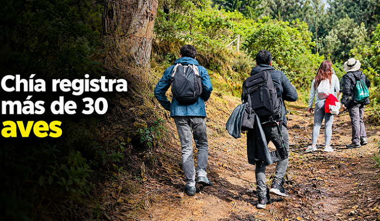 🐦 |Chía| registra más de 30 especies de aves en el |October Big Day|, ¿qué destaca de la jornada?