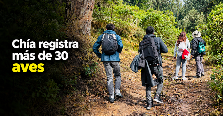 🐦 |Chía| registra más de 30 especies de aves en el |October Big Day|, ¿qué destaca de la jornada?