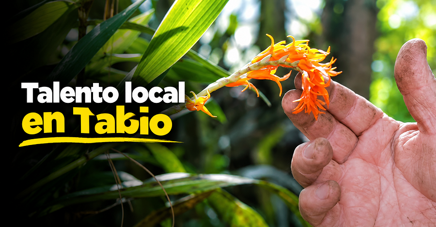 💛 |Tabio| impulsa el talento local con |Tajara Arte| y |Naturaleza|, ¿qué ofrece esta marca? + Video