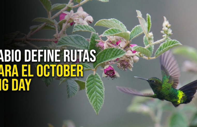 🐦 |Tabio| se prepara para el |October Big Day|: ¿qué rutas tendrá la jornada?