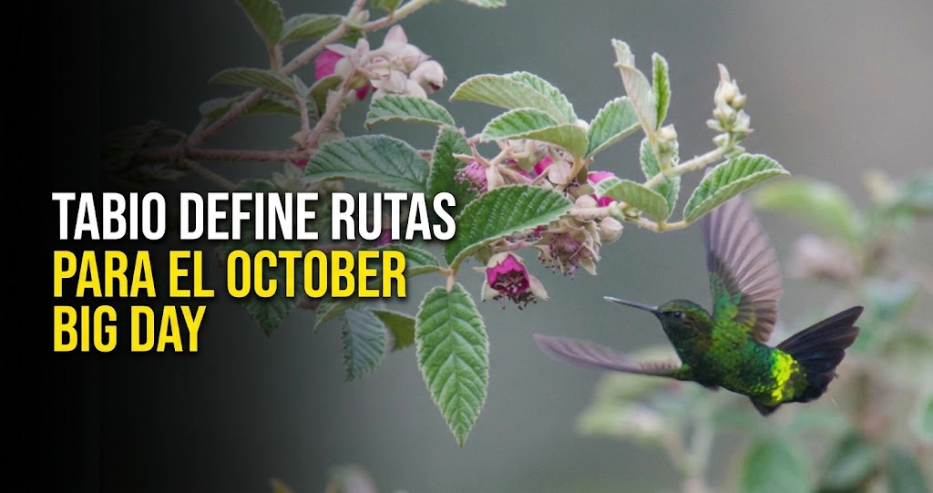 🐦 |Tabio| se prepara para el |October Big Day|: ¿qué rutas tendrá la jornada?